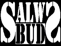 Salws-Bud Montaż stolarki budowlanej.